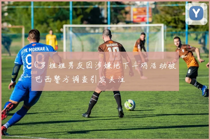 C罗姐姐男友因涉嫌地下斗鸡活动被巴西警方调查引发关注